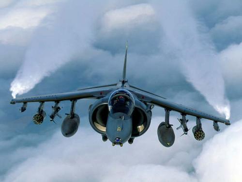 Harrier002.jpg